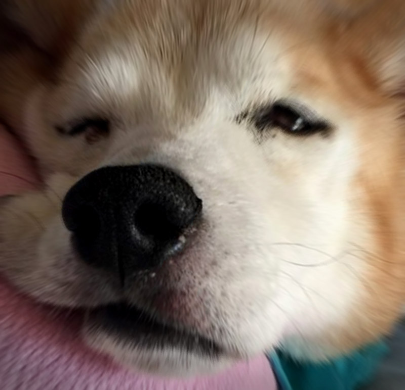 f:id:masami_takasu:20190304133136j:plain f:id:masami_takasu:20190304133136j:plain