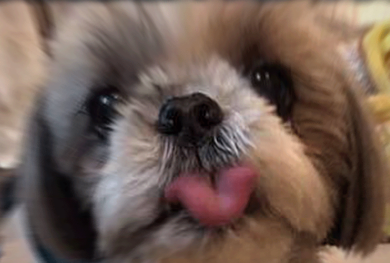 f:id:masami_takasu:20190311170321g:plain