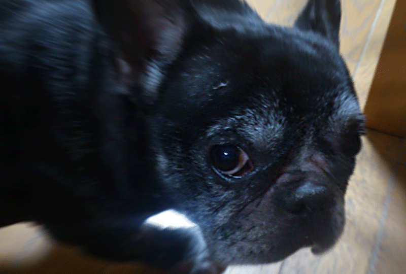 f:id:masami_takasu:20190311173407g:plain