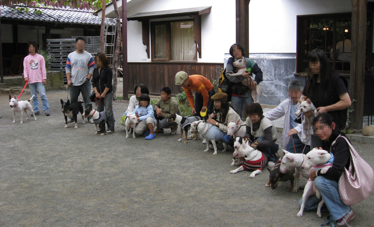 ブルテリアオフ間の集合写真