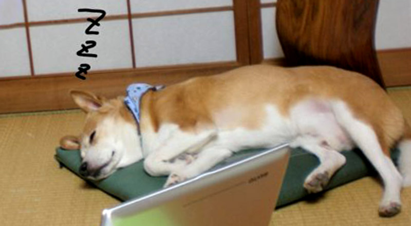 f:id:masami_takasu:20190322175406j:plain