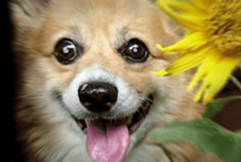 f:id:masami_takasu:20190325212640g:plain