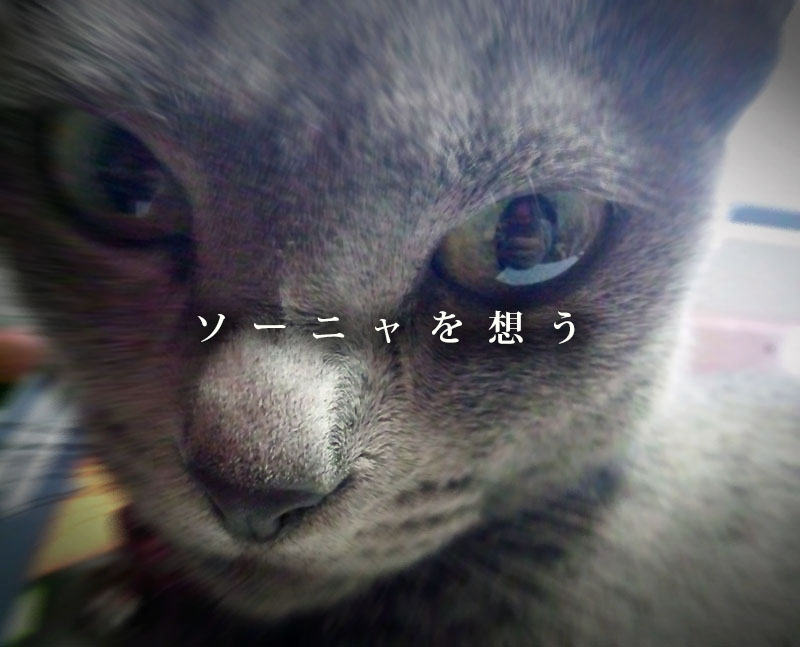 f:id:masami_takasu:20190329114311j:plain f:id:masami_takasu:20190329114311j:plain