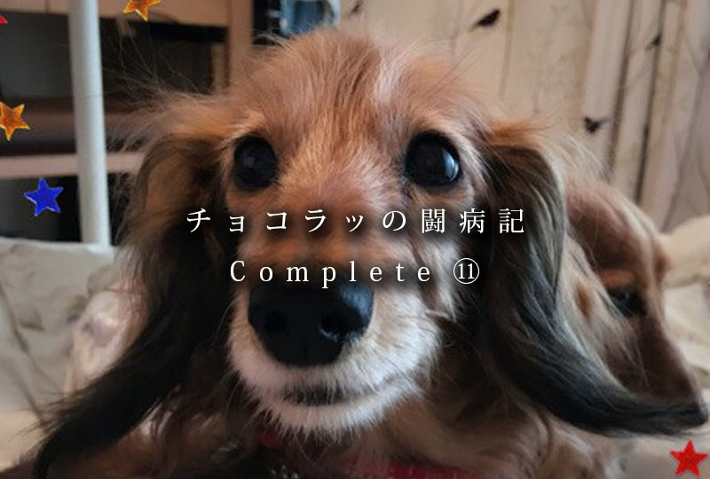 f:id:masami_takasu:20190401200540j:plain f:id:masami_takasu:20190401200540j:plain
