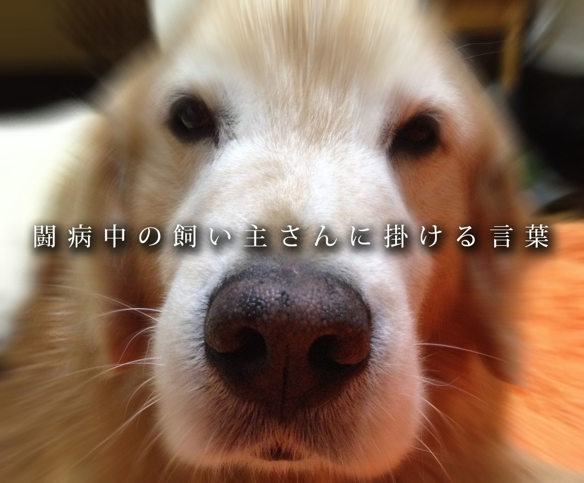 闘病中の飼い主にかける言葉