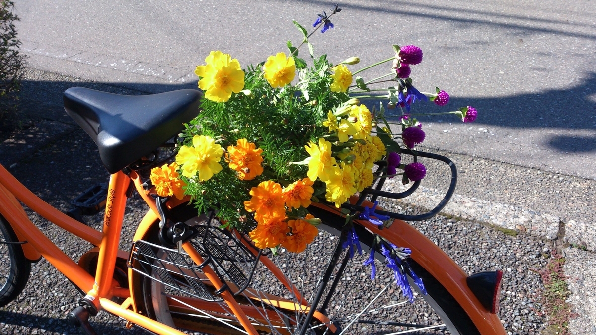 エリザベスと花