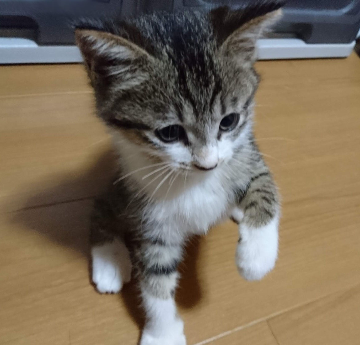 マナ_扉