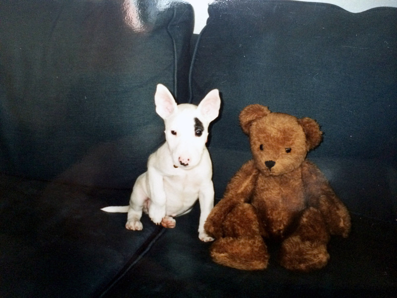 テディベアと一緒に