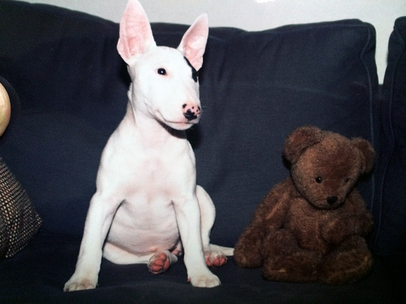 生後3か月くらい