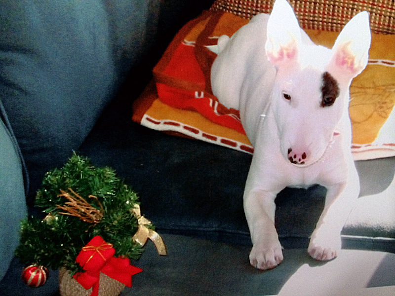 クリスマスの頃