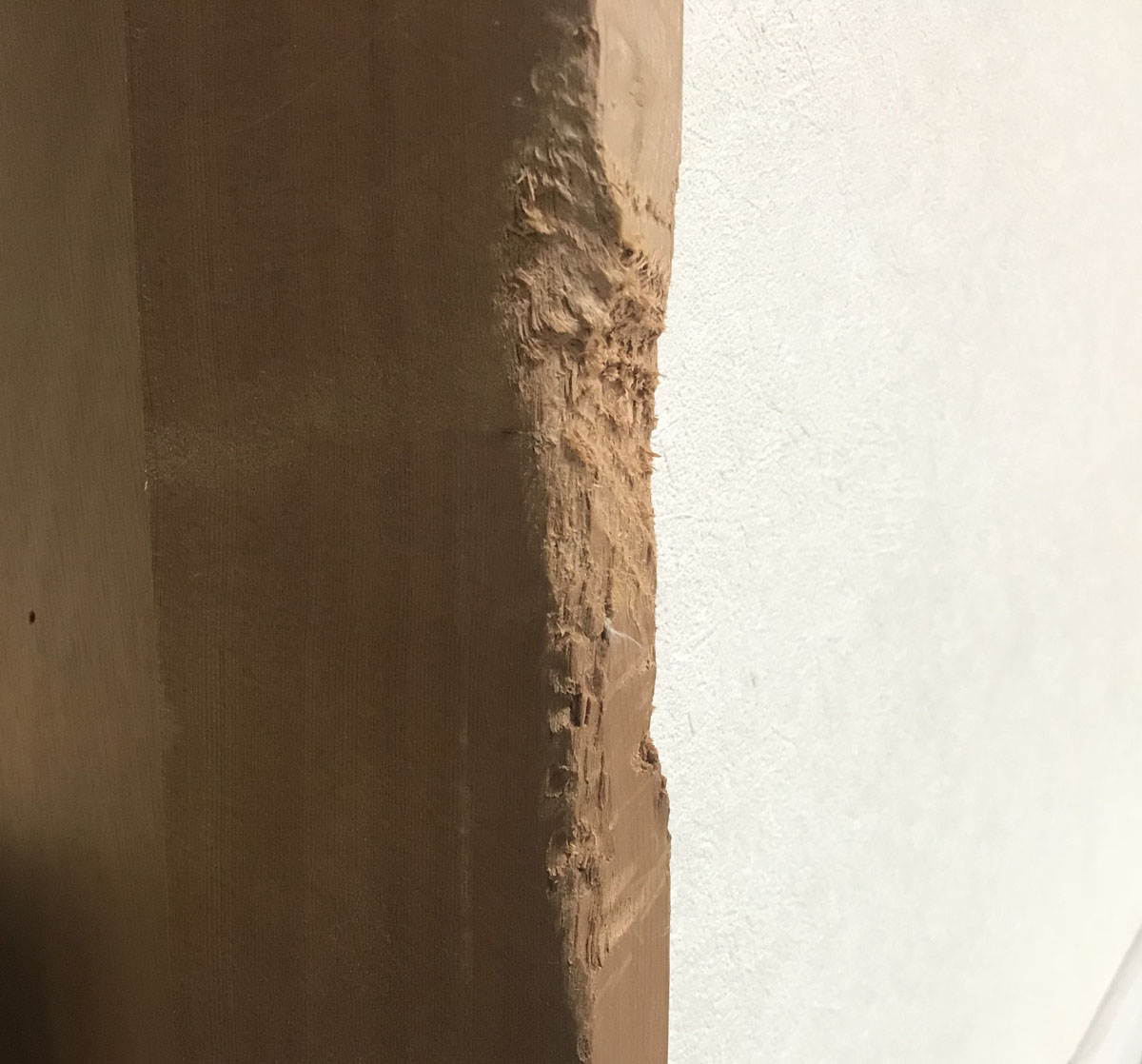 齧った柱