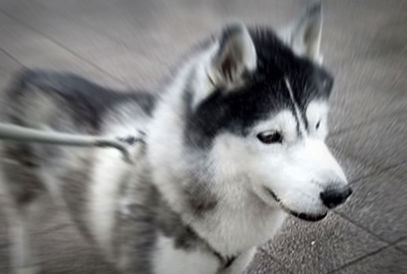 f:id:masami_takasu:20190414150103g:plain