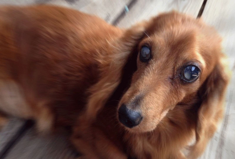 f:id:masami_takasu:20190414150502g:plain