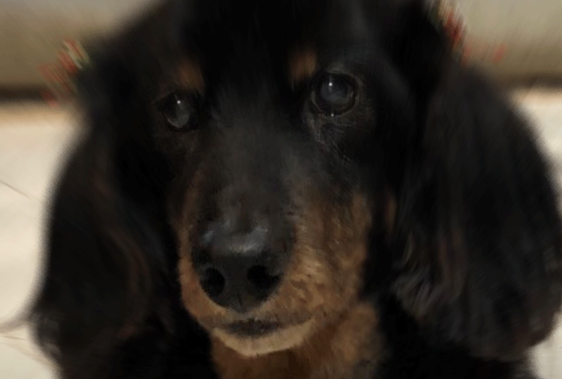 f:id:masami_takasu:20190414150548g:plain