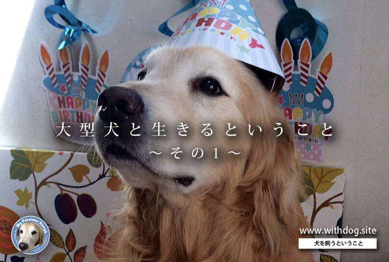 大型犬とともに生きる