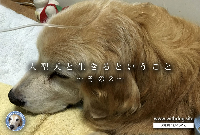 大型犬と生きる