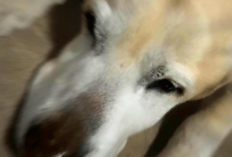 f:id:masami_takasu:20190418124130g:plain