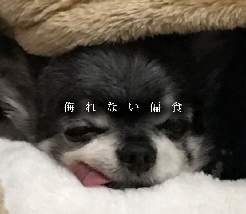 侮れない偏食_扉