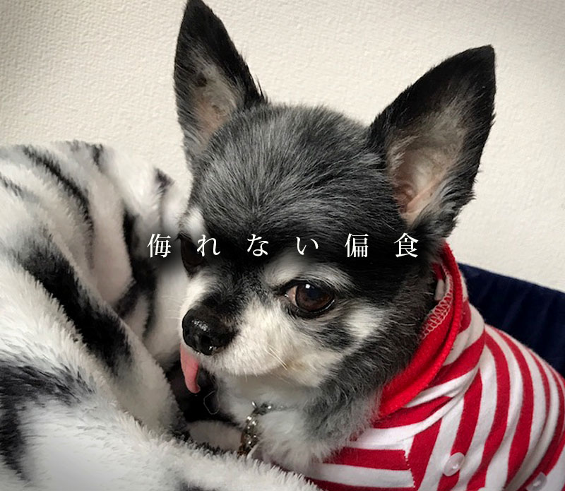 侮れない偏食_扉