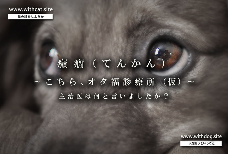 てんかん_扉