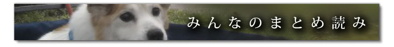 みんなのまとめ読み_犬