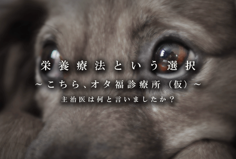 栄養療法