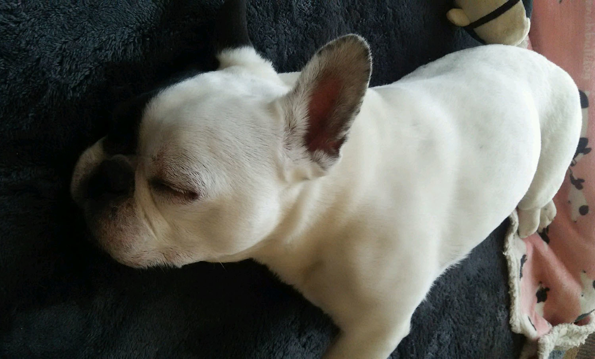 れんの精密検査