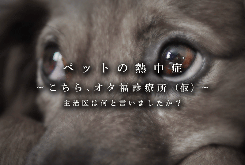 ペットの熱中症