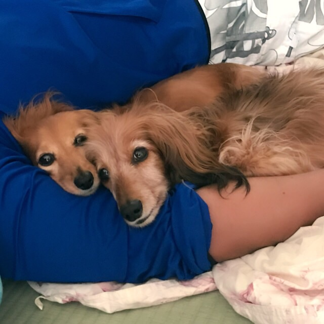 パパの膝で