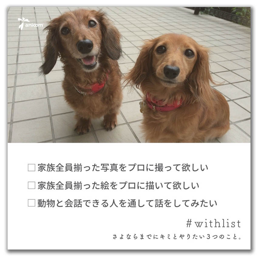 願いをかなえて