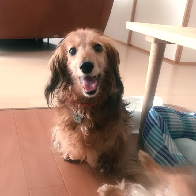 f:id:masami_takasu:20190525223612j:plain