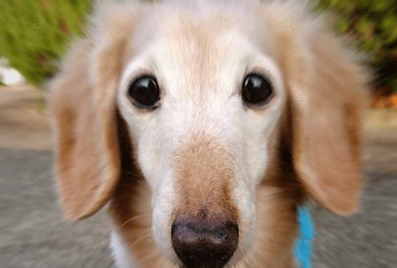 f:id:masami_takasu:20190528162512g:plain f:id:masami_takasu:20190528162512g:plain