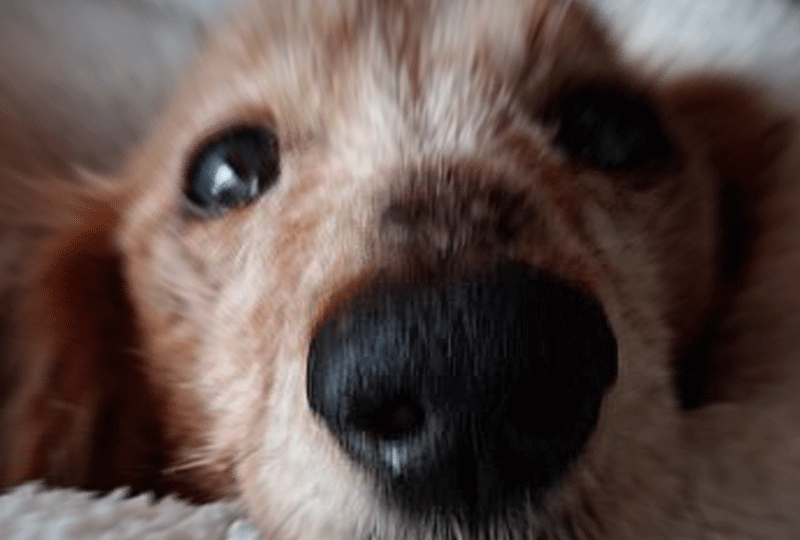 f:id:masami_takasu:20190602084733g:plain