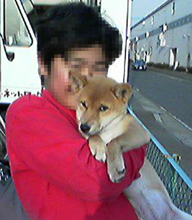 f:id:masami_takasu:20190602135245j:plain