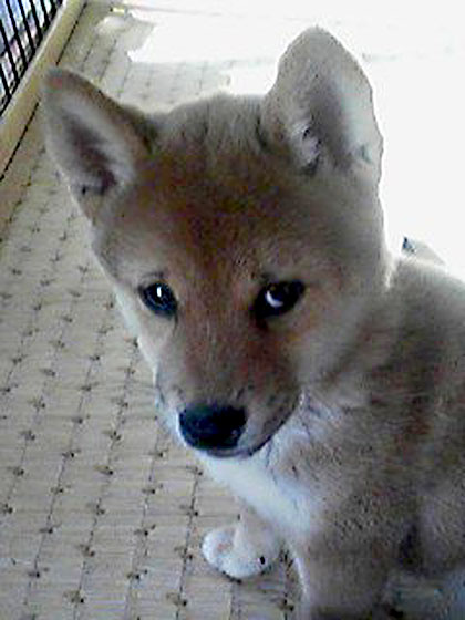 f:id:masami_takasu:20190602135703j:plain