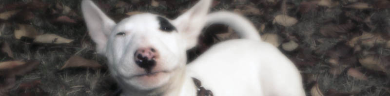 f:id:masami_takasu:20190622141327j:plain