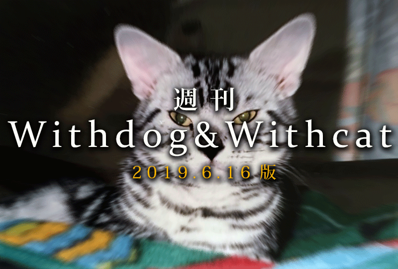 f:id:masami_takasu:20190623090532g:plain