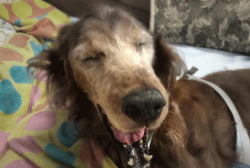 f:id:masami_takasu:20190623090934g:plain