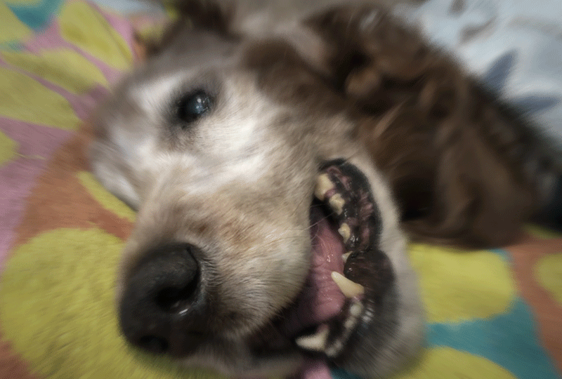 f:id:masami_takasu:20190623091534g:plain