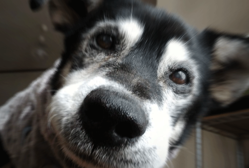 f:id:masami_takasu:20190709182345g:plain