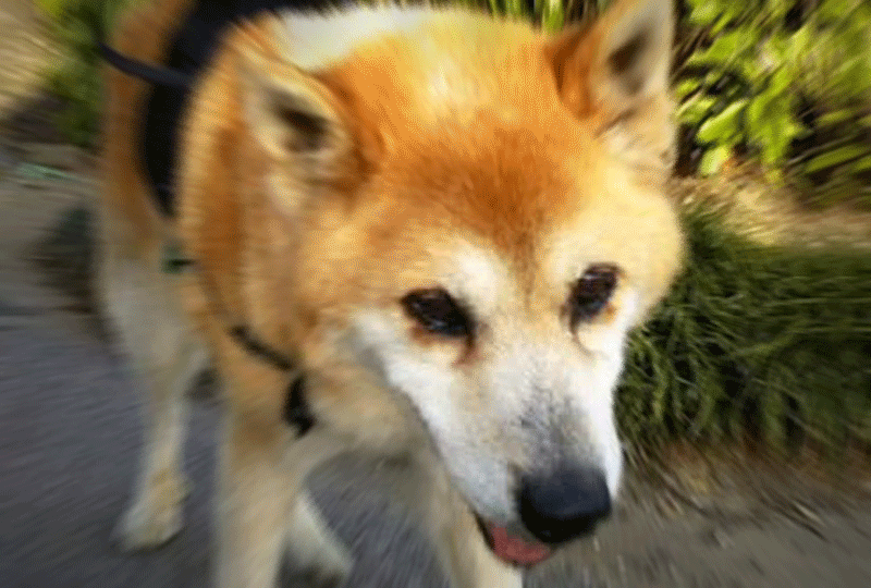 f:id:masami_takasu:20190710151852g:plain f:id:masami_takasu:20190710151852g:plain