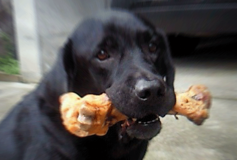 f:id:masami_takasu:20190714120705g:plain