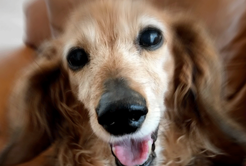 f:id:masami_takasu:20190714121450g:plain