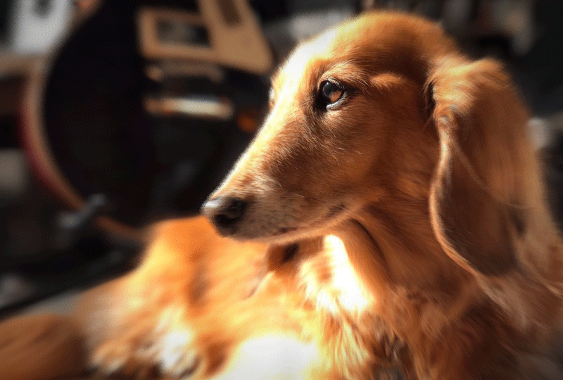 f:id:masami_takasu:20190714121610g:plain