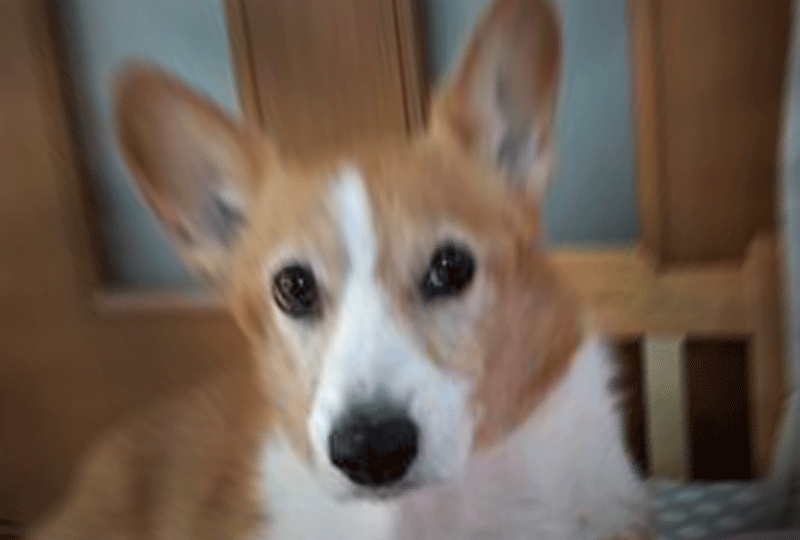 f:id:masami_takasu:20190714122009g:plain