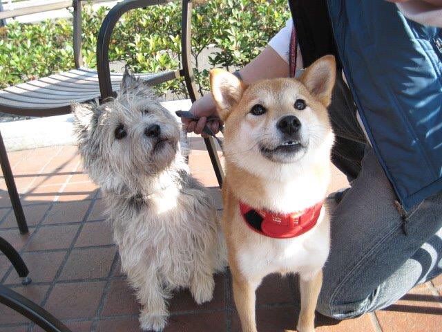 f:id:masami_takasu:20190721184312j:plain