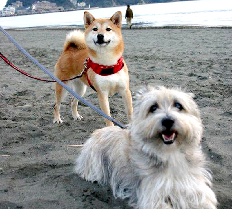 f:id:masami_takasu:20190723164241j:plain