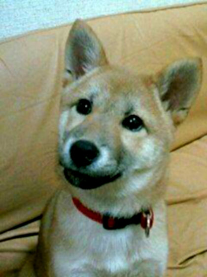 f:id:masami_takasu:20190723164307j:plain