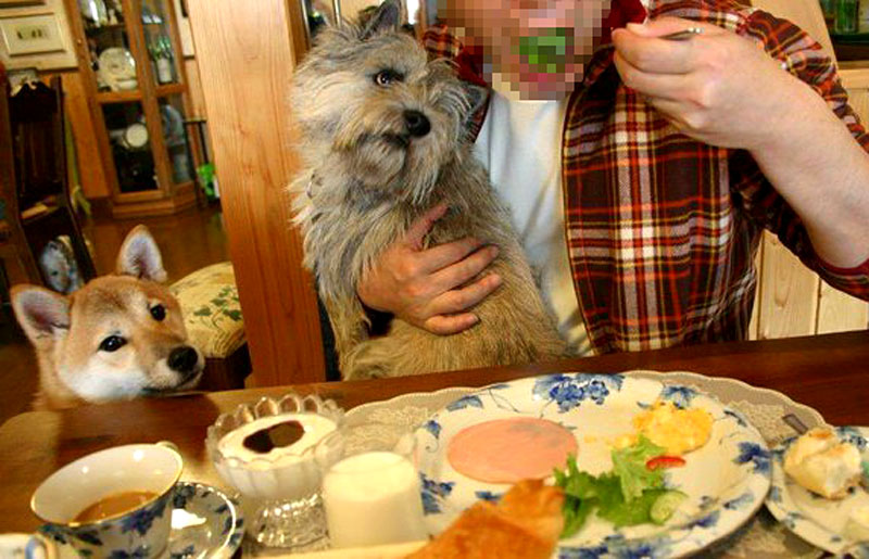 f:id:masami_takasu:20190723164354j:plain