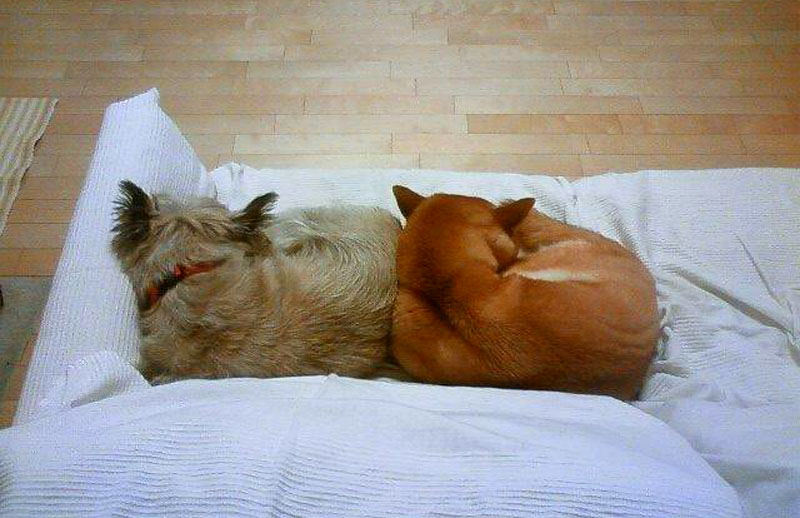 f:id:masami_takasu:20190723164417j:plain